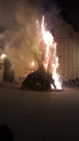 Hogueras de San Antonio